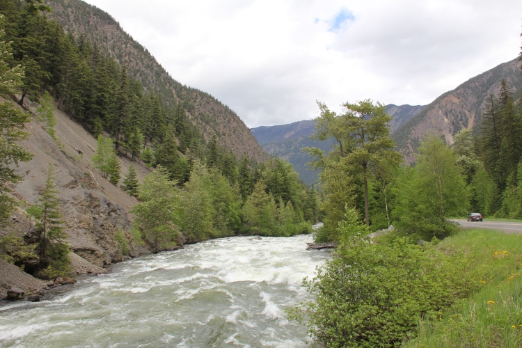 Cayoosh Creek
